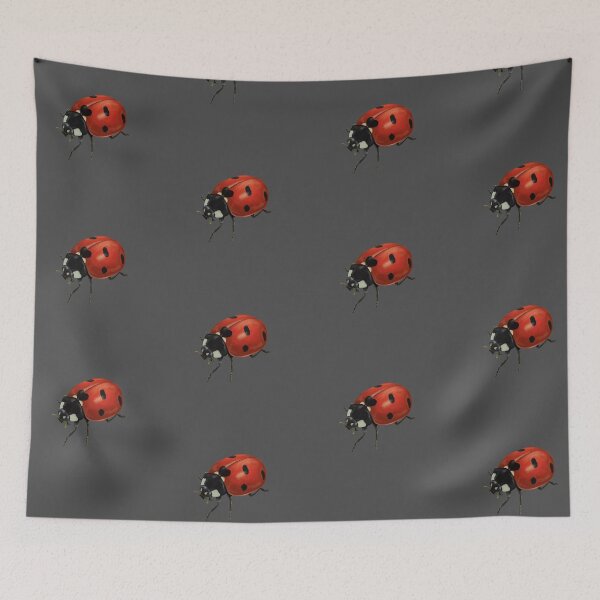 Item preview, Ladybird designed and sold by QuirkyTales.
