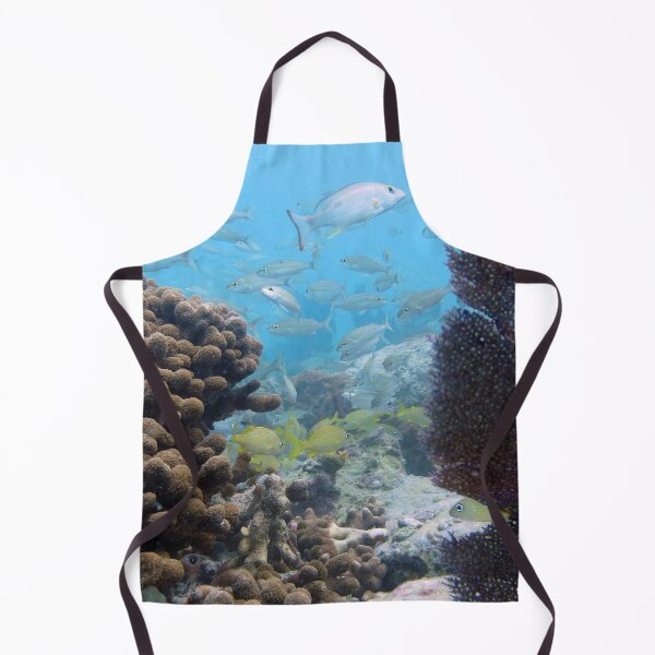 Watercolor Fish, French Grunt and Tomtate 01, St John, USVI Apron