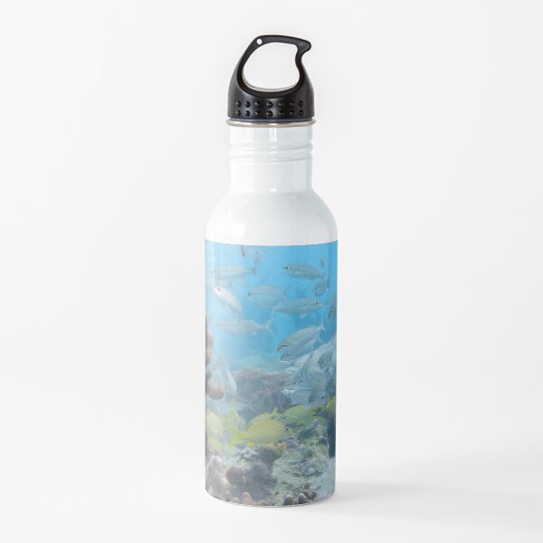 Watercolor Fish, French Grunt and Tomtate 01, St John, USVI Water Bottle