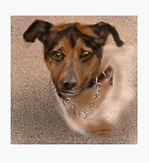 NIPPER Photographic Print