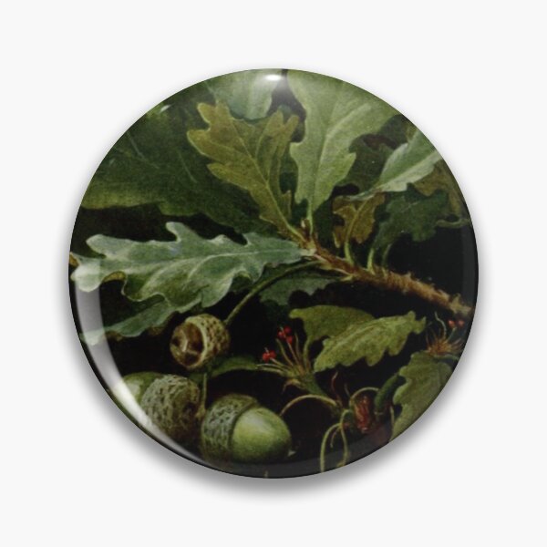 Item preview, Acorn and Oak designed and sold by BlueSpecsStudio.