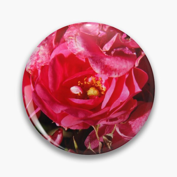 Item preview, Soothing ourselves in a nest of roses designed and sold by lucielitchi.