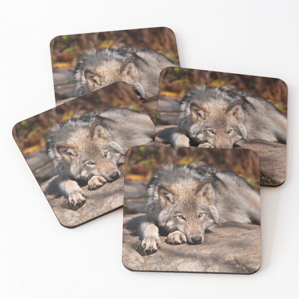 Item preview, Timber Wolf designed and sold by WolvesOnly.