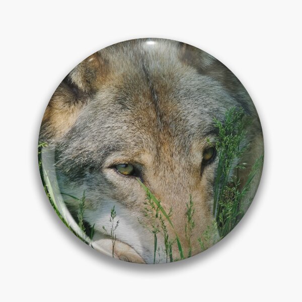 Item preview, Timber Wolf designed and sold by WolvesOnly.