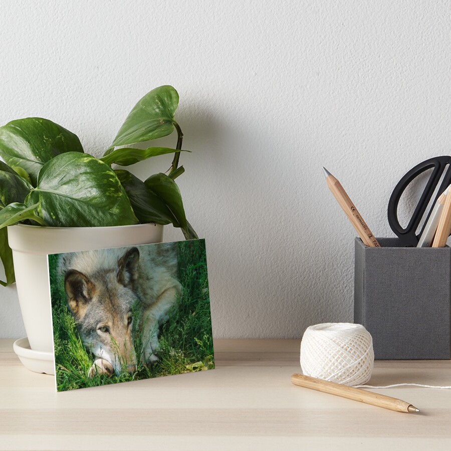 Vista previa del artículo con la obra «Lámina rígida», diseñado y vendido por WolvesOnly.