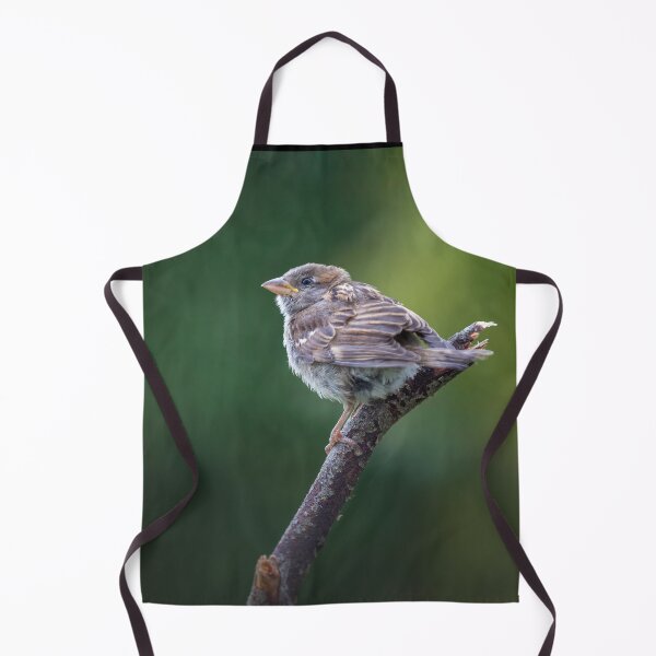 Item preview, Juvenile Sparrow designed and sold by Kipcio.