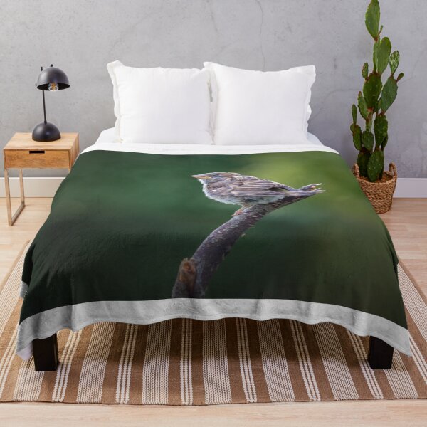 Item preview, Juvenile Sparrow designed and sold by Kipcio.