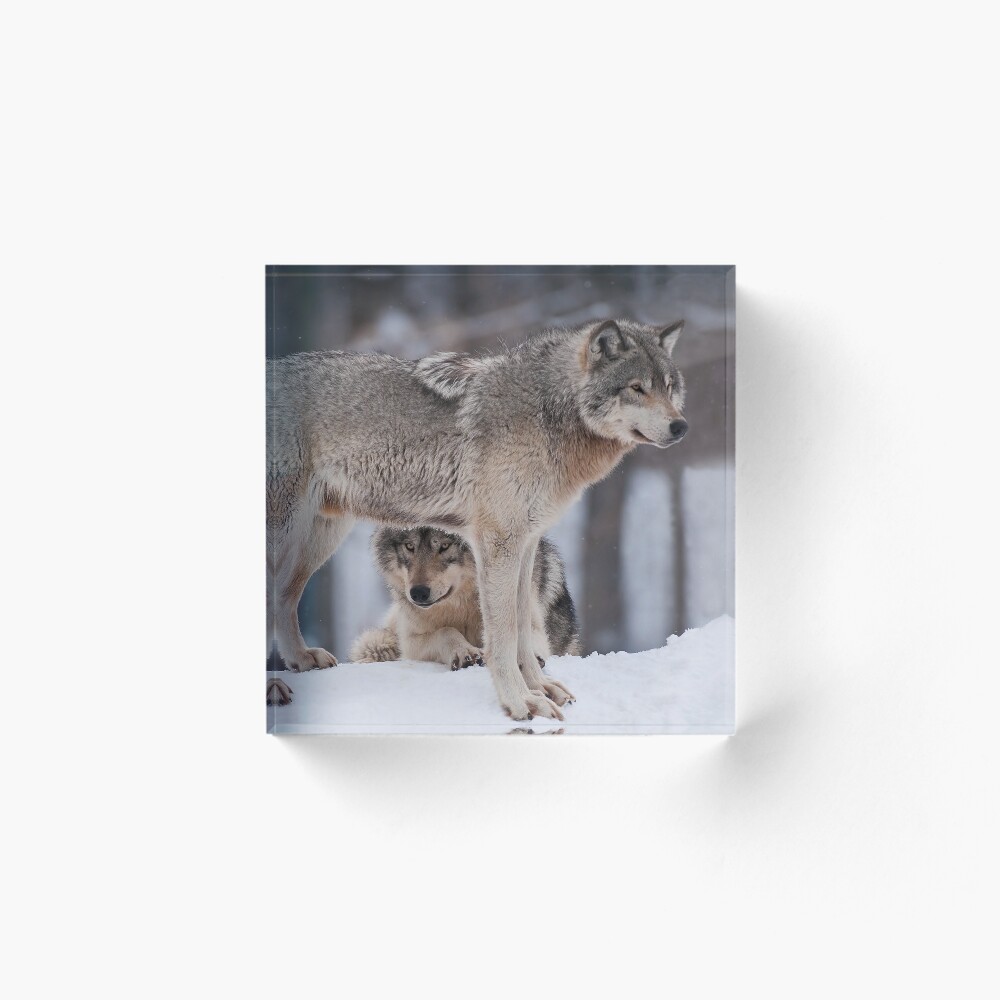 Item preview, Acrylic Block designed and sold by WolvesOnly.