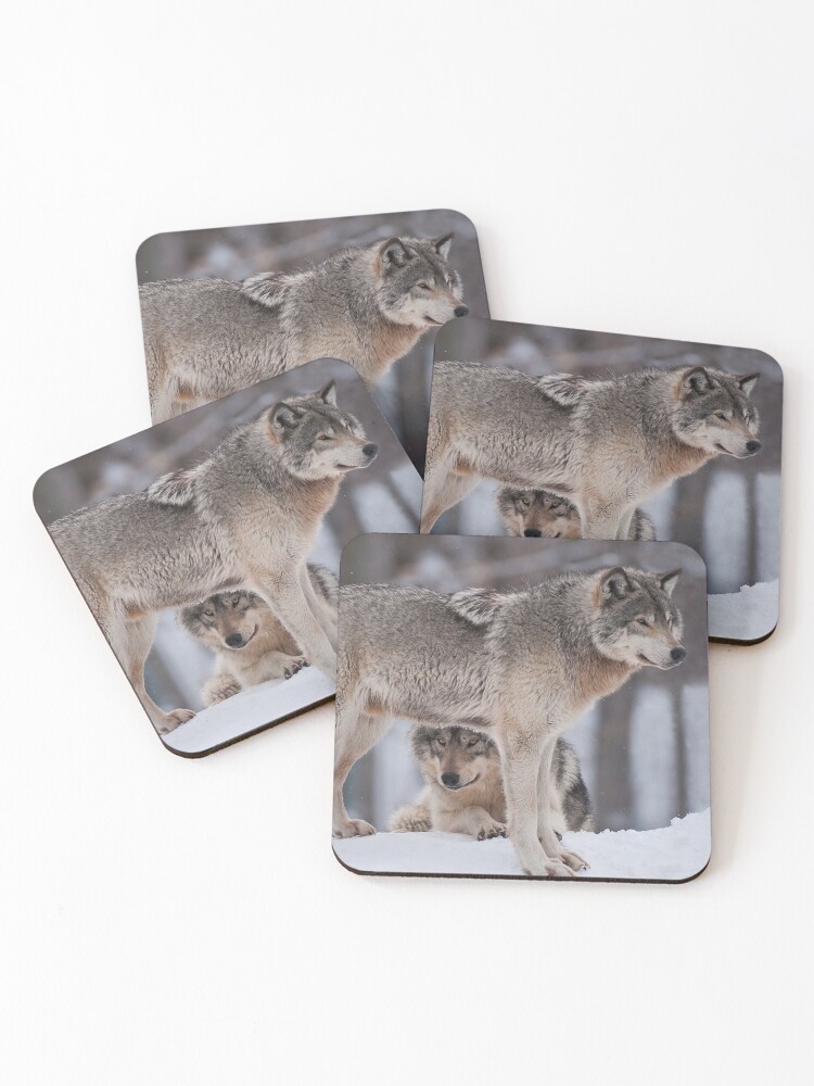Thumbnail 1 of 5, Coasters (Set of 4), Timber Wolves designed and sold by WolvesOnly.