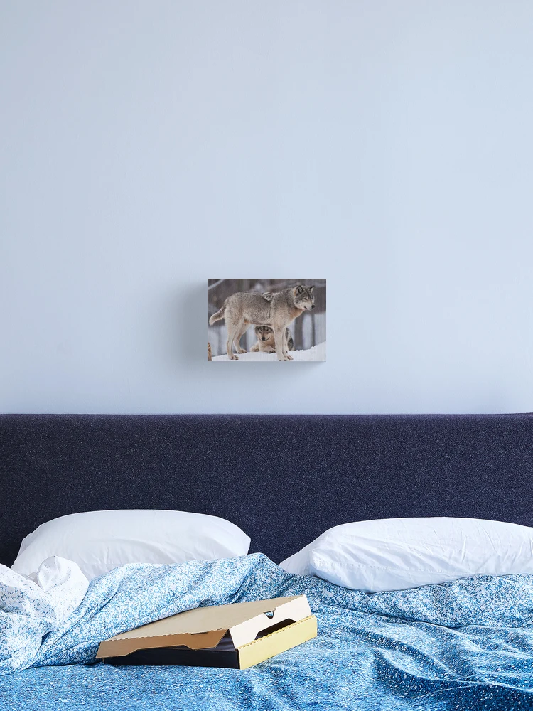 Thumbnail 2 of 3, Canvas Print, Timber Wolves designed and sold by WolvesOnly.