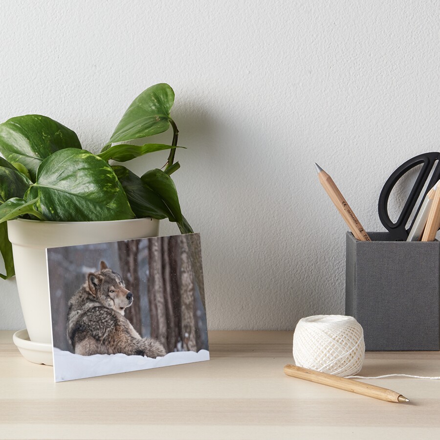 Item preview, Art Board Print designed and sold by WolvesOnly.