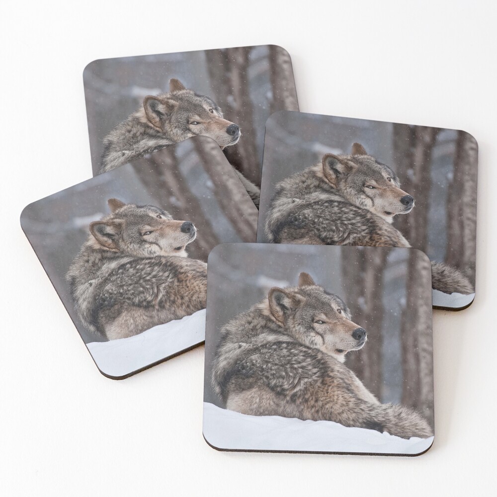 Item preview, Coasters (Set of 4) designed and sold by WolvesOnly.