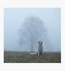 Foggy morning Photographic Print