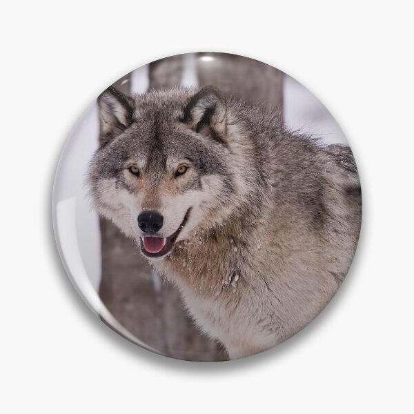 Artikelvorschau, Timber Wolf entworfen und verkauft von WolvesOnly.