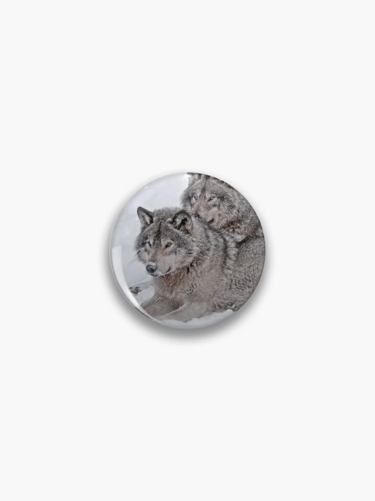 Thumbnail 1 of 3, Pin, Timber Wolves designed and sold by WolvesOnly.