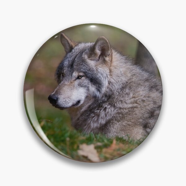 Artikelvorschau, Timber Wolf entworfen und verkauft von WolvesOnly.