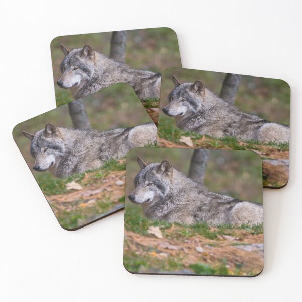 Item preview, Timber Wolf designed and sold by WolvesOnly.