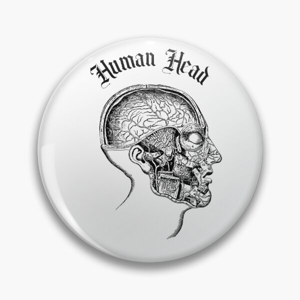Item preview, Human head anatomy designed and sold by ds-4.