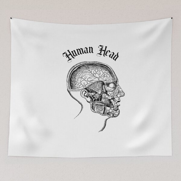 Item preview, Human head anatomy designed and sold by ds-4.