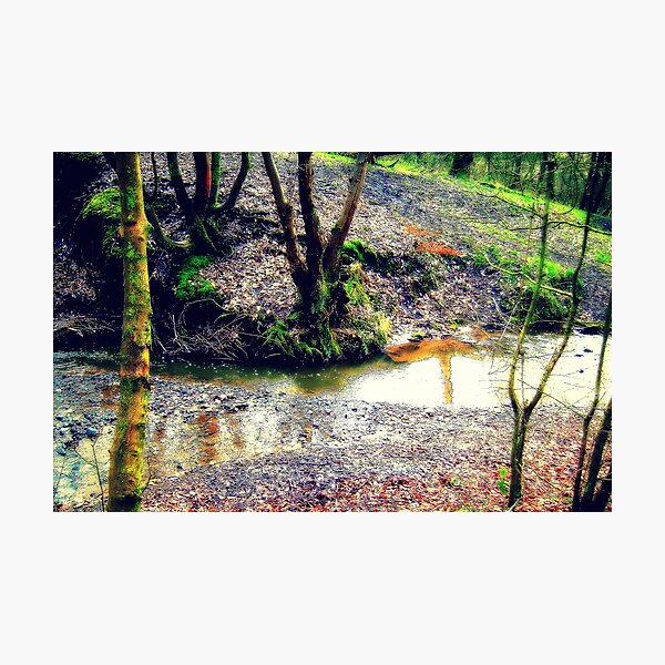 By a stream Photographic Print