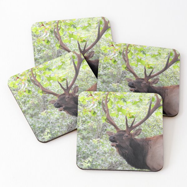 Item preview, bull elk designed and sold by Tgarlick.