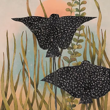 Artwork thumbnail, Eagle rays  by PatternCreator