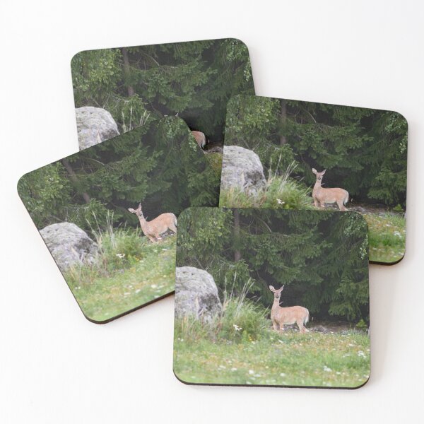Item preview, She is watching me. White-tailed deer designed and sold by Jouko Lehto Photography.