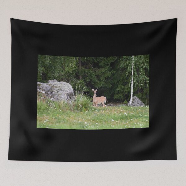 Item preview, She is watching me. White-tailed deer designed and sold by Jouko Lehto Photography.