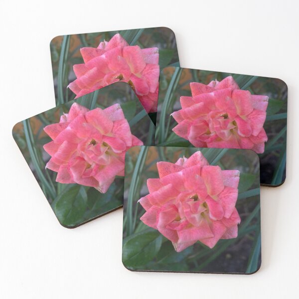 Item preview, the beautiful pink rose designed and sold by Immy Odams.