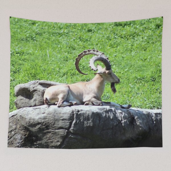 Item preview, ON HIS THRONE designed and sold by BOLLA67.
