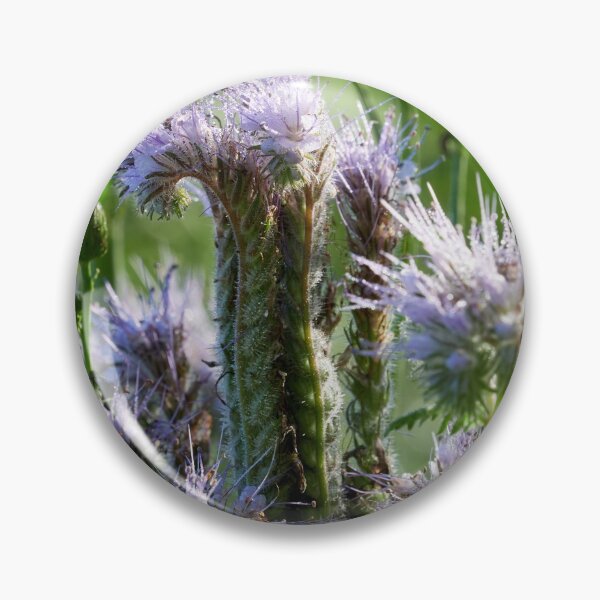 Item preview, Purple tansy 2 designed and sold by Jouko Lehto Photography.