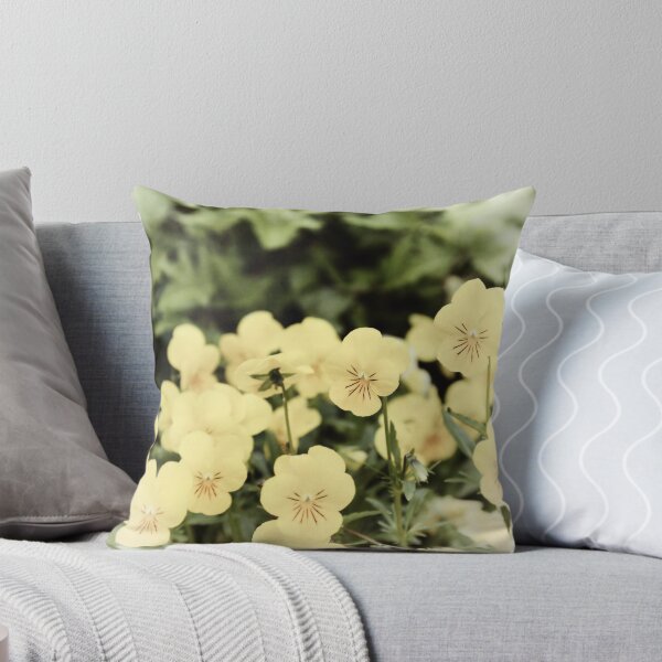 Viola- little rays of sunshine! Throw Pillow