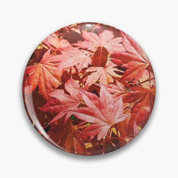 Artikelvorschau, Rote Herbstblätter - Acer-Baum entworfen und verkauft von ToriaScarlett.