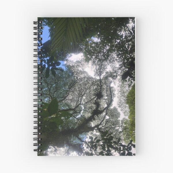 Item preview, Costa Rican Rainforest designed and sold by Amber Niles.
