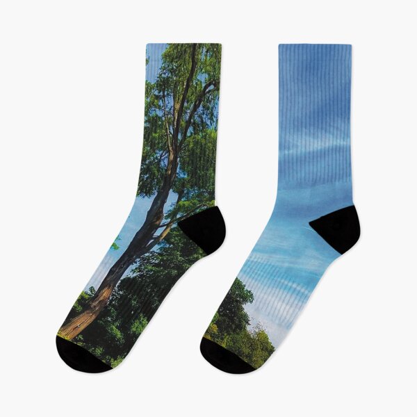 Item preview, Beautiful Trees and Blue Sky designed and sold by ToriaScarlett.