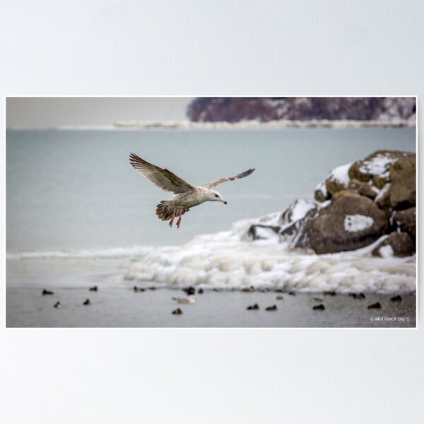 Item preview, Above the Frozen Waters designed and sold by Mikell Herrick.