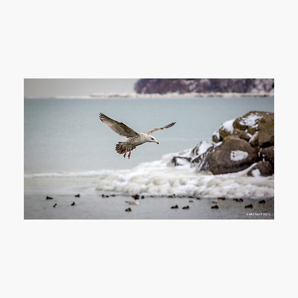 Item preview, Above the Frozen Waters designed and sold by Mikell Herrick.