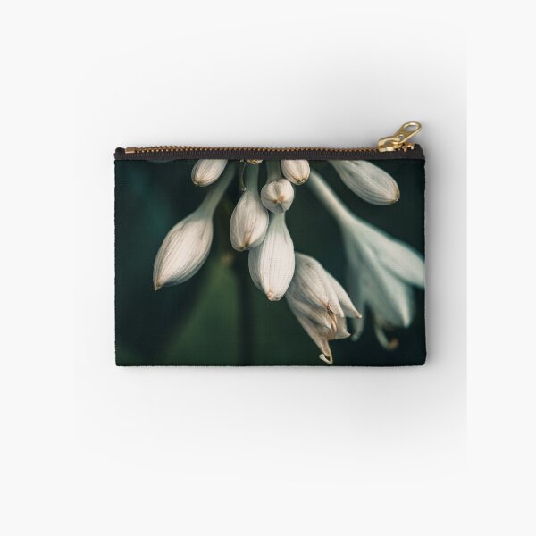 Item preview, Hosta designed and sold by alan shapiro.