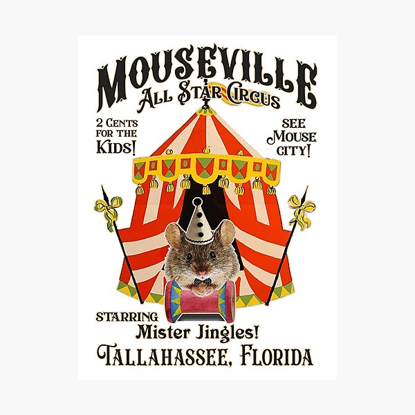 Mouseville Photographic Print