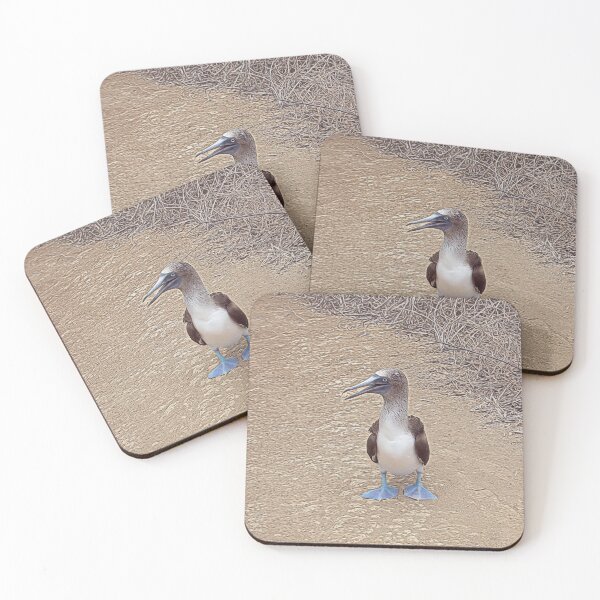 Item preview,  Coolest birds wear blue shoes for Dancing designed and sold by Steven Kight.