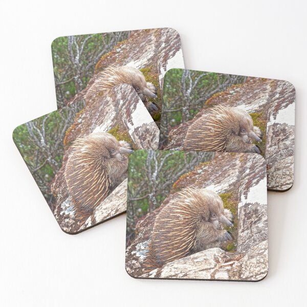 Item preview, Echidna. designed and sold by Alex Preiss.