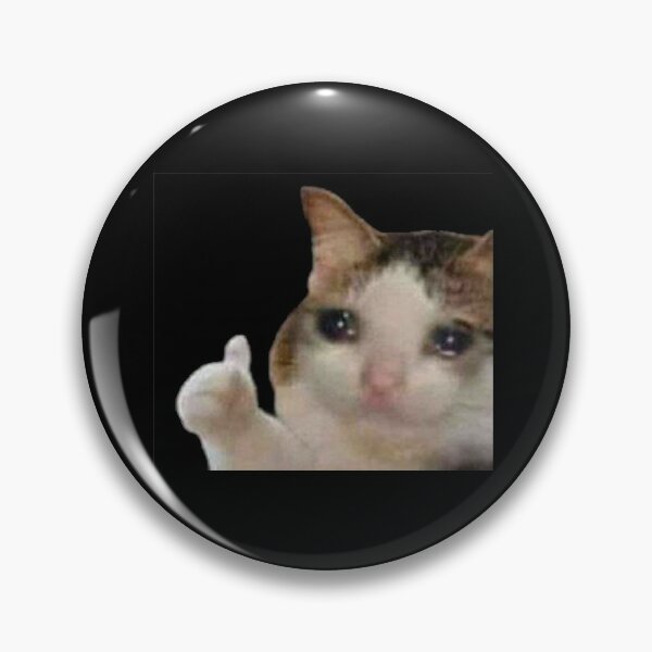 Crying Cat Thumbs Up Meme Pin