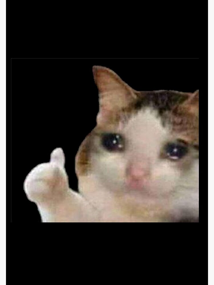 "Crying Cat Thumbs Up Meme" Spiral Notebook by cnon626 Redbubble