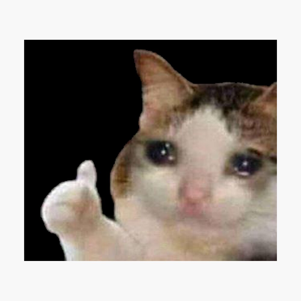 22 Meme Gato Triste Png - Woolseygirls Meme