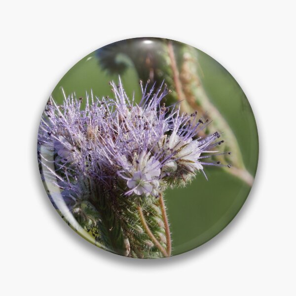 Item preview, Purple tansy 3 designed and sold by Jouko Lehto Photography.