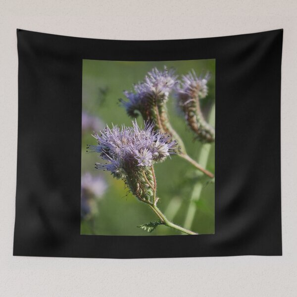 Item preview, Purple tansy 3 designed and sold by Jouko Lehto Photography.
