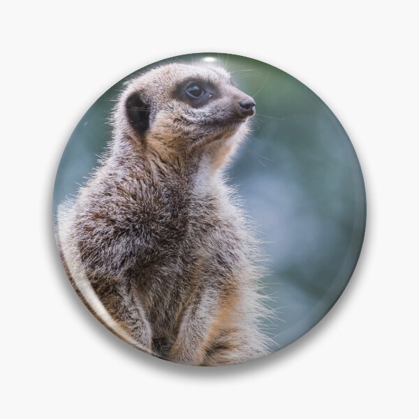 Item preview, Meerkat looking into the distance designed and sold by wellsie82.