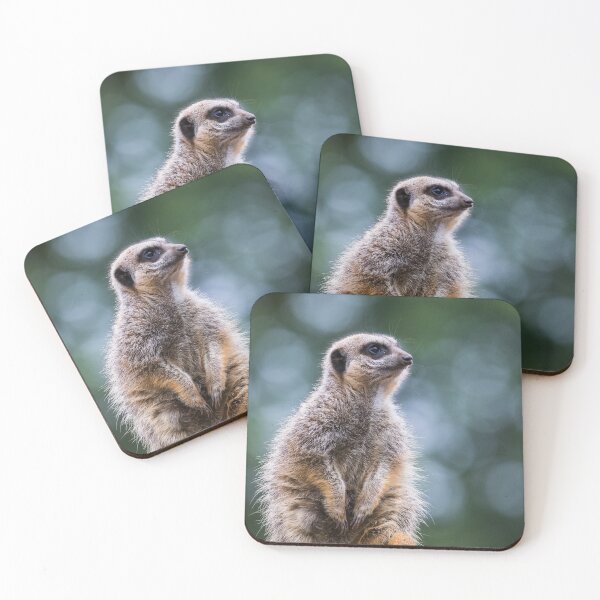 Item preview, Meerkat looking into the distance designed and sold by wellsie82.