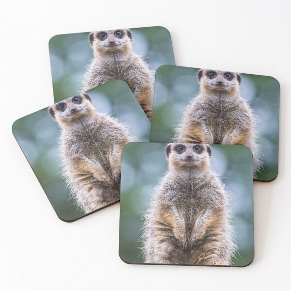 Item preview, Portrait of a meerkat designed and sold by wellsie82.