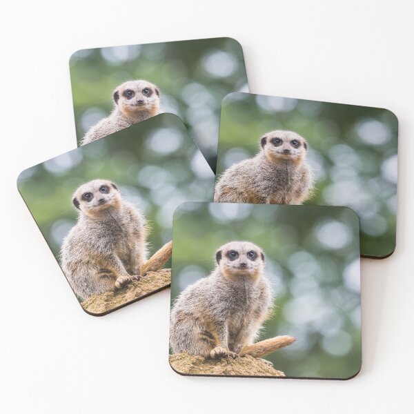 Item preview, Meerkat sat on a rock designed and sold by wellsie82.